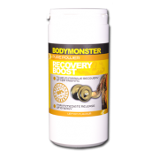 Recovery Boost Recovery Boost